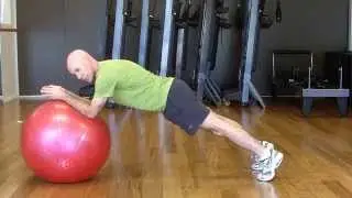 Fitness Ball Exercise Workout