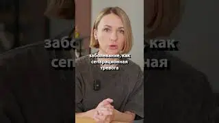 Почему собака все грызет и что с этим делать?