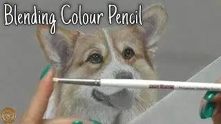 Blending Colour Pencil - Scrubber brush technique