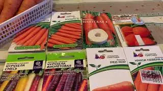 Обзор семян  моркови к сезону 2022. 🥕🥕🥕