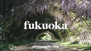 2 Days in Fukuoka | Photography Vlog