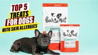 Best Ear Mite Treatments for Cats: A Comprehensive Guide