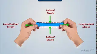 Definition of Poisson's Ratio | Strength of Materials