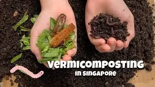 Vermicomposting in Singapore