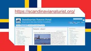 Scandinavian Naturist Beaches