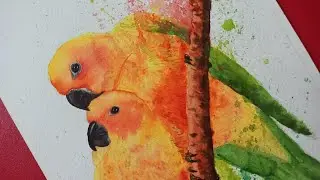 Parrot Painting | watercolour painting of parrots