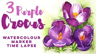 3 Purple Crocus Painting // Watercolour marker time lapse