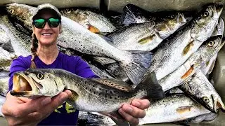 Went Redfishing and Loaded up on Speckled Trout (Spotted Sea Trout)! *Catch*Clean*Cook