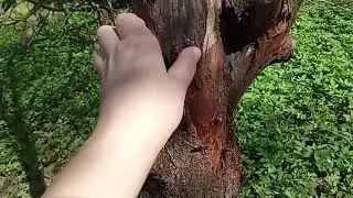 ЧЕРНЫЙ РАК пожирает сад.
