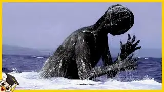 10 Creature Spaventose Viste Solo Una Volta