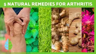 5 Powerful Plants for ARTHRITIS SYMPTOMS 🌿✅ Reduce Inflammation & Stiffness