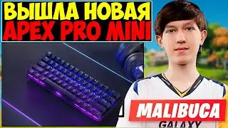 MALIBUCA о НОВОЙ APEX PRO MINI😏