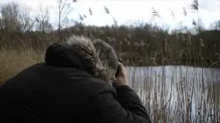 Fotografie für Anfänger und Einsteiger - offene Blende