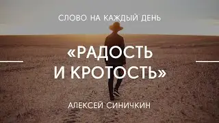 Радость и кротость | Алексей Синичкин