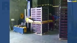 Reisopack: мод 2904 стационарная автоматическая линия стреппирования паллет с фруктами