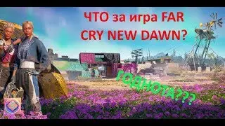 FAR CRY NEW DAWN - Что это такое?