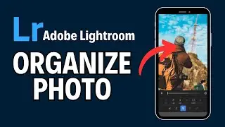 How to Organize Photo in Adobe Lightroom 2024?