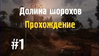 Сталкер Долина Шорохов #1 [Встреча с Мутным]