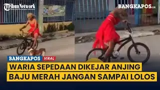 Kocak Waria Naik Sepeda Dikejar Anjing  yang Baju Merah Jangan Sampai Lolos