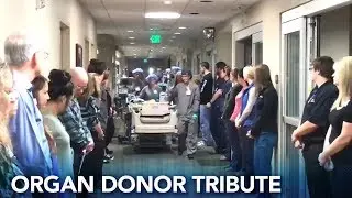 Medical staff line walls in 'Walk of Respect' for organ donor