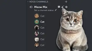 Meow Mix Discord Meme