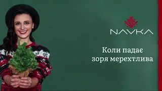 NAVKA/ТЕКСТ ПІСНІ/ 😍Стати святим Миколаєм😍