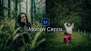 Moody Green | Lightroom Mobile Presets DNG - Moody Green Preset