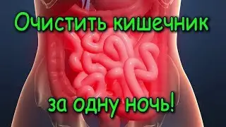 Как ОЧИСТИТЬ КИШЕЧНИК за одну ночь? Невероятный эффект!