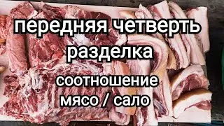 Разделка передней четверти свиной туши \\ Сколько мяса и сала в передней четверти свиньи