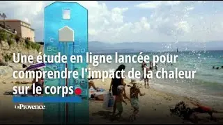 Une étude en ligne lancée pour comprendre limpact de la chaleur sur le corps