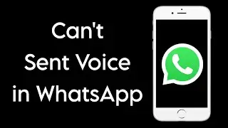 How To Fix Cant Sent Audio on WhatsApp