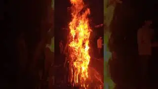 Holika Dahan #dailyvlog #youtubeshorts #minivlog #shortvideo