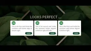 CSS Soln. Horizontal card list with bottom aligned action button