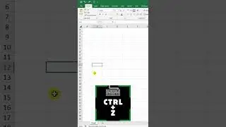 Excel Kısayolları 7 | CTRL + Z #excel #vba #shorts