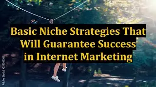 Basic Niche Strategies That Will Guarantee Success in Internet Marketing