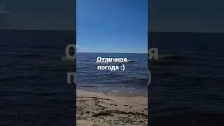 #shorts Субботний день на море