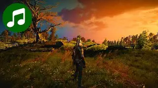 Relaxing WITCHER 3 Ambient Music 🎵 ONE HOUR Chill Mix (Witcher 3 Soundtrack | OST)