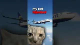 My Cat Hijacked My Airplane 🐈✈️💥