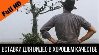 Челентано договаривается с воронами - 