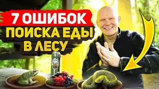 7 ошибок поиска еды в лесу. Запрещенный подножный корм