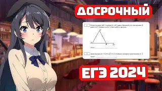 Досрочный ЕГЭ 2024, Что на нем было?