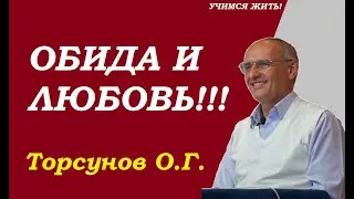 Обида и Любовь. Торсунов О.Г.