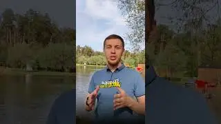 Как увеличить продажи на Авито в 2 раза? 