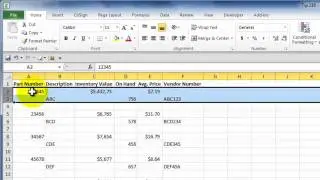 How to Record a Macro in Excel to Fix Problems with an Imported Text File