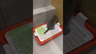 Первый месяц дома 😻😻 