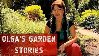 BBC_CNN OLGA'S GARDEN STORIES!