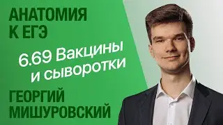 6.69. Вакцины и сыворотки | Анатомия к ЕГЭ | Георгий Мишуровский