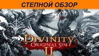 Divinity: Original Sin 2 - Степной обзор