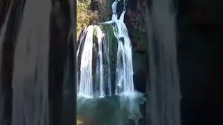 Incredible Chinese STONE Forest