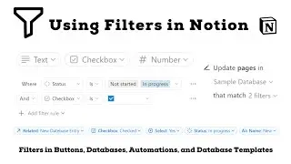 Using Filters in Notion Across Buttons, Database Templates, and Automations